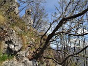 MONTE ZUCCO ad anello via linea tagliafuoco dalla Pernice (20apr21) - FOTOGALLERY